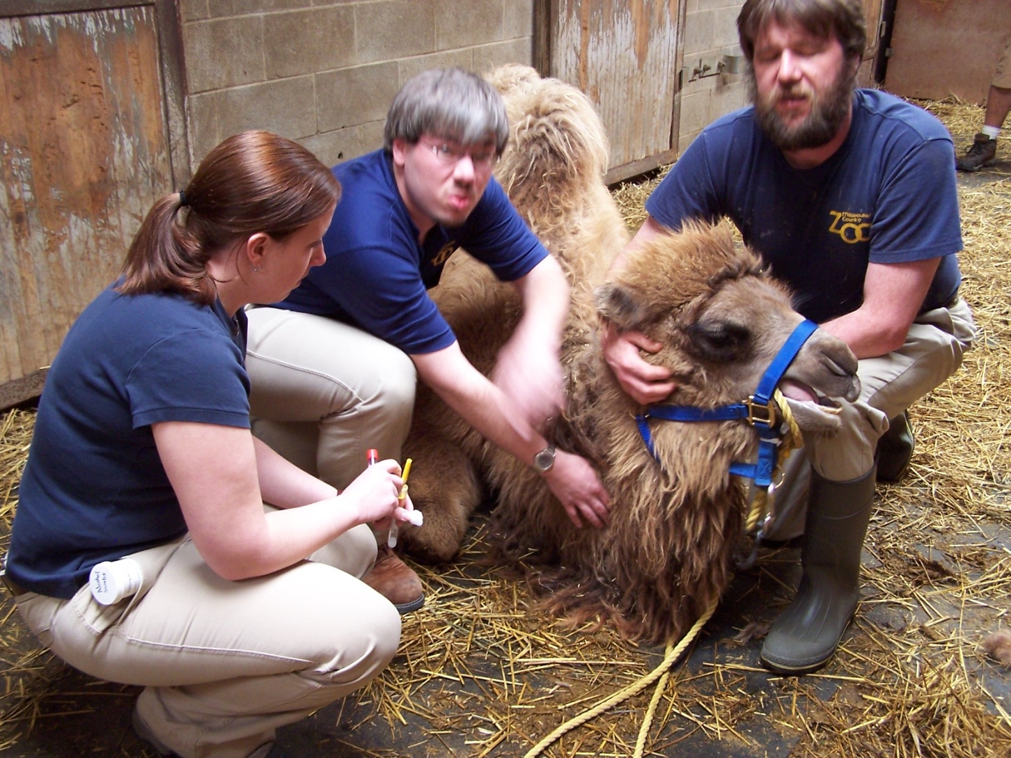 Dr. John Scheels - Exotic Animal Dentistry